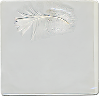 Fac19_front2-190x96.png