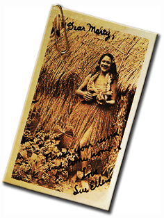 DaysOfWine_back-pic-300x96.png