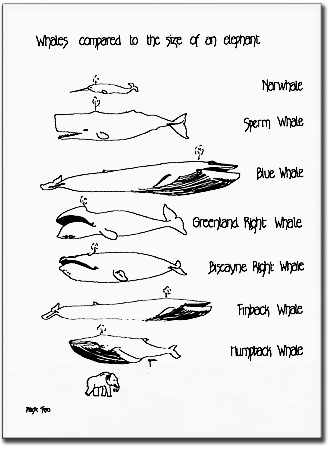 book_pg2-435x96.png