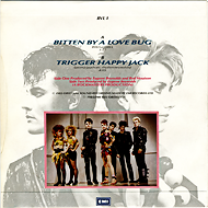 LoveBug_back-190x96.png